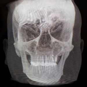 Meet your Posher, Charles